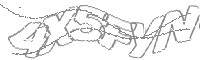 Check code